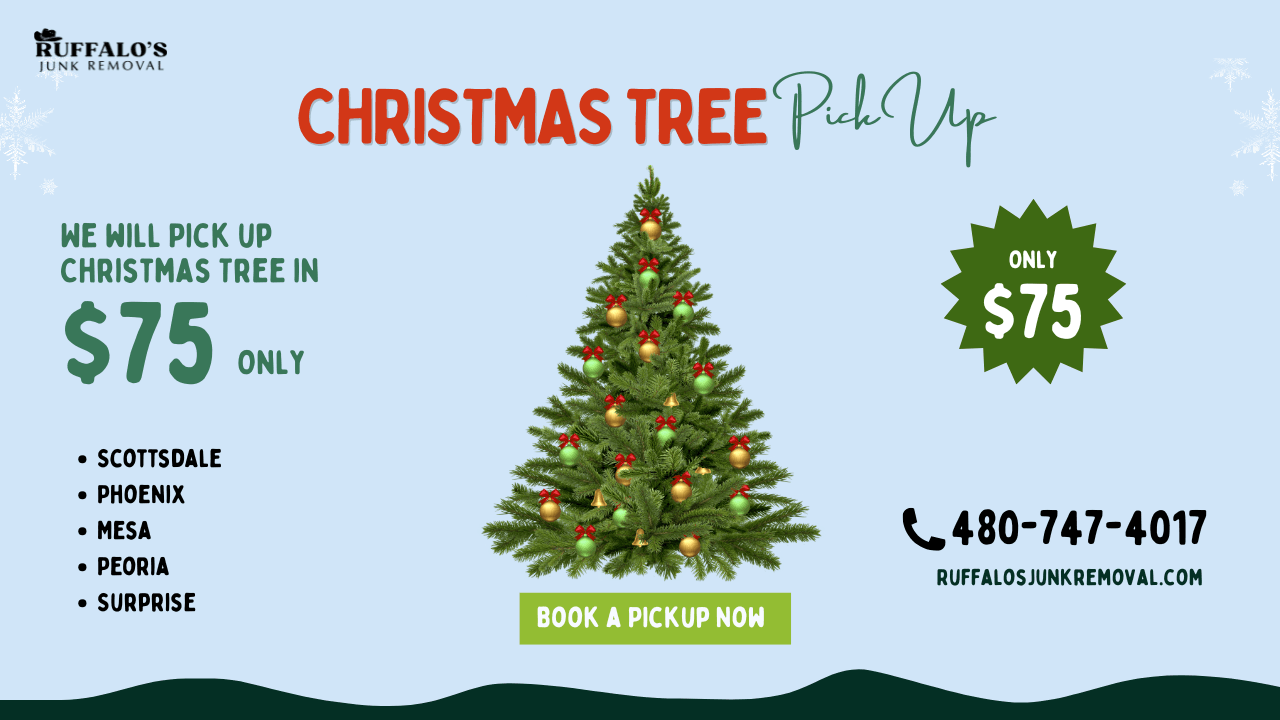 Christmas Tree Pickup in Scottsdale, AZ for $75 only